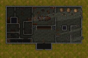 The Mansion and the Cellar (41x27 & 37x18)