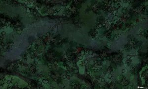 Swamp Road [50x30]