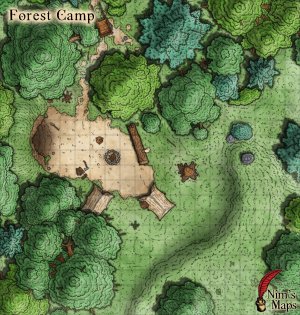 Forest Camp [20x21]
