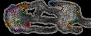 Fires of the Haunted City Map Pack 1 - Age of Ashes