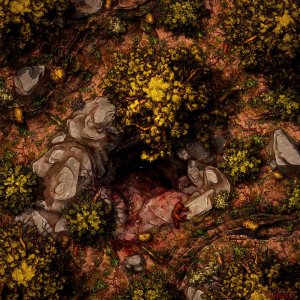 10 Battle Maps for Your Next Adventure