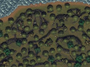 Shore of Overgrown Ruins 80x60