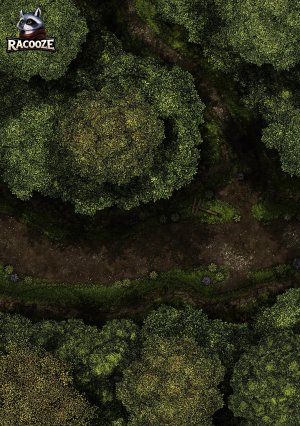 Goblin Ambush & Cragmaw Hideout - Phandelver & Below
