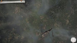 Foggy Swamp Path - Battlemap with Cinematic View