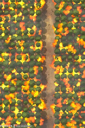 A path through the tree plantation (and then suddenly it's ablaze) [40x60]