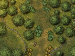 Enjoy the free maps and let me know if you need a new one!!!