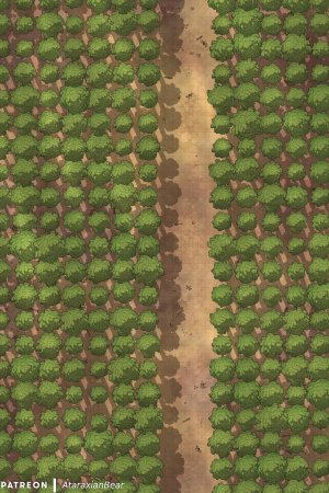 A path through the tree plantation (and then suddenly it's ablaze) [40x60]