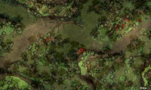 Swamp Road [50x30]