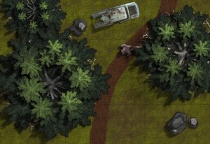 Fallout forest road 16x11