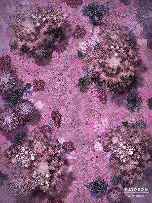 Sugar Plum Forest [battlemap] from Angela Maps - 3 versions! [animated] [art]