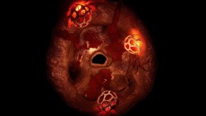 Free Battle Maps & Animated Battlemaps - Hellwasp Nest | Descent into Avernus