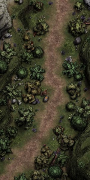 Long Road [40x20] - 6 unique variations