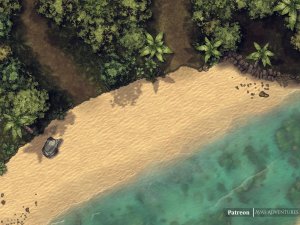 The Beach