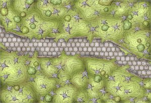Encounter Map - The Stoney Grove (16x11)