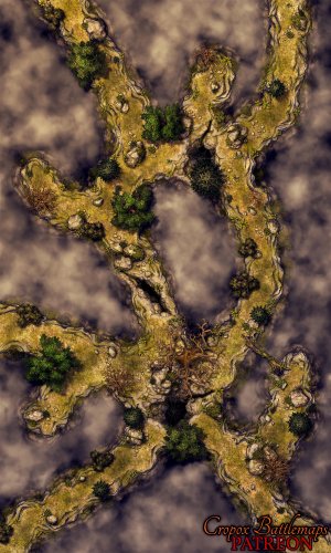 The Cloudfall Trails 30x50 battle map