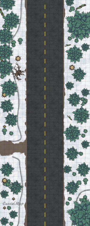 Training to make some maps to my players [50x20]