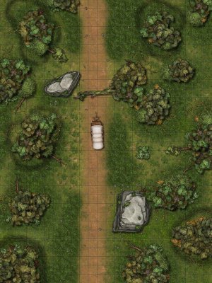 Looking for tips on a forest road map