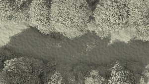 Tales of the Old Margreve, Challenge of the Fang