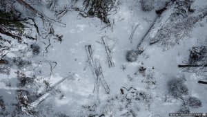 Winter Forest | [Animated Battlemap] [32x18] [120px per Square] [Gridless] [3D Rendered] [OC] | Beneos Battlemaps