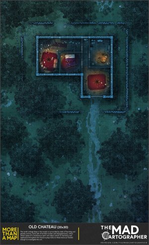 [20x30] More Than a Map: Old Chateau