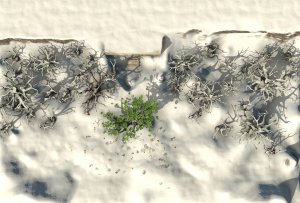 Reign of Winter Part Three: The Three Who Watch
