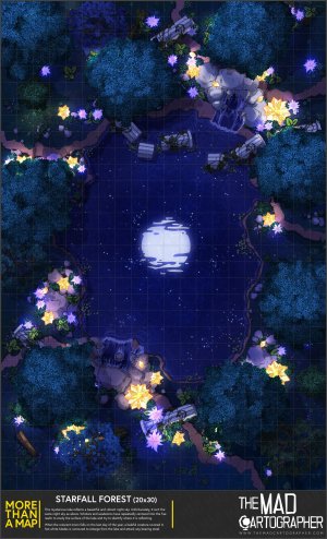 [20x30] More Than a Map: Starfall Forest