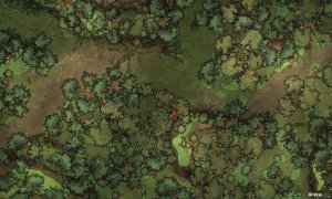 Swamp Road [50x30]