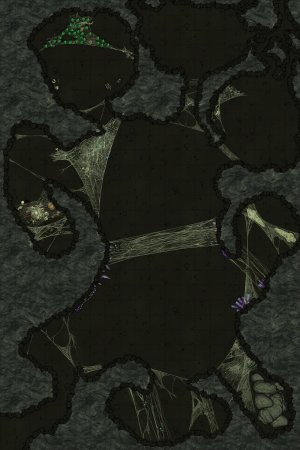Spiders' Den 20x30 - with Dungeondraft