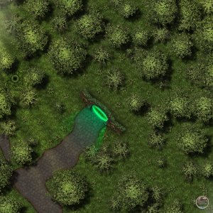 Forest Door [40x40] & Wish Garden [80x80]