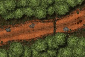Forest Ambush [30 x 20] (First Map Attempt)
