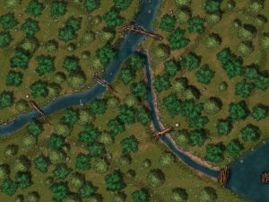 Forest Battlefield