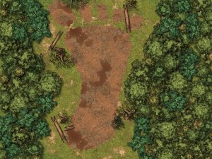 Footprint in the woods