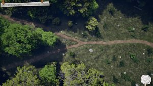 Forest Road Fork - Battlemap with paired Cinematic View