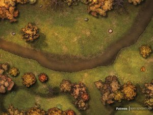 Seasonal Forest Road