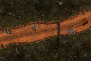 Forest Ambush [30 x 20] (First Map Attempt)