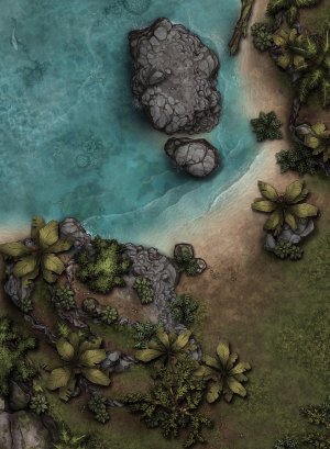 Rocky tropical coast [22x30]