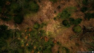 Forest Path | [Animated Battlemap] [32x18] [120px per Square] [Gridless] [3D Rendered] [OC] | Beneos Battlemaps